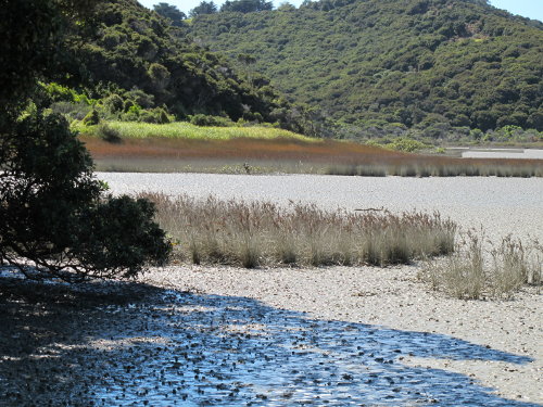 Greywacke gully creek outlet in foreground; kauri/broadleaf basin beyond Image