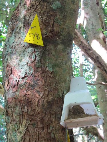The last attempt to bait the Scenic Reserve was made in 2010 Image