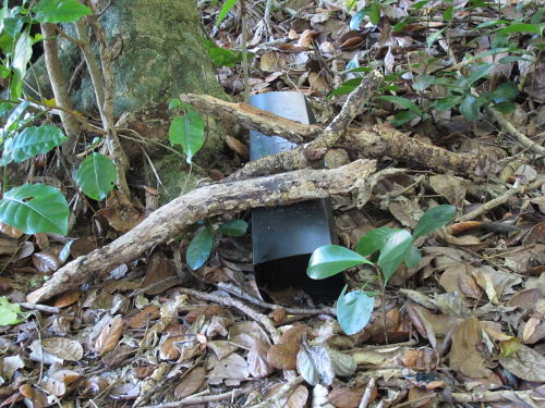 Tracking tunnels are left to weather-in before the first tracking cards are used Image