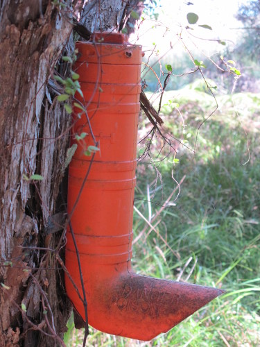 An earlier bait station positioned near the shell spit Image